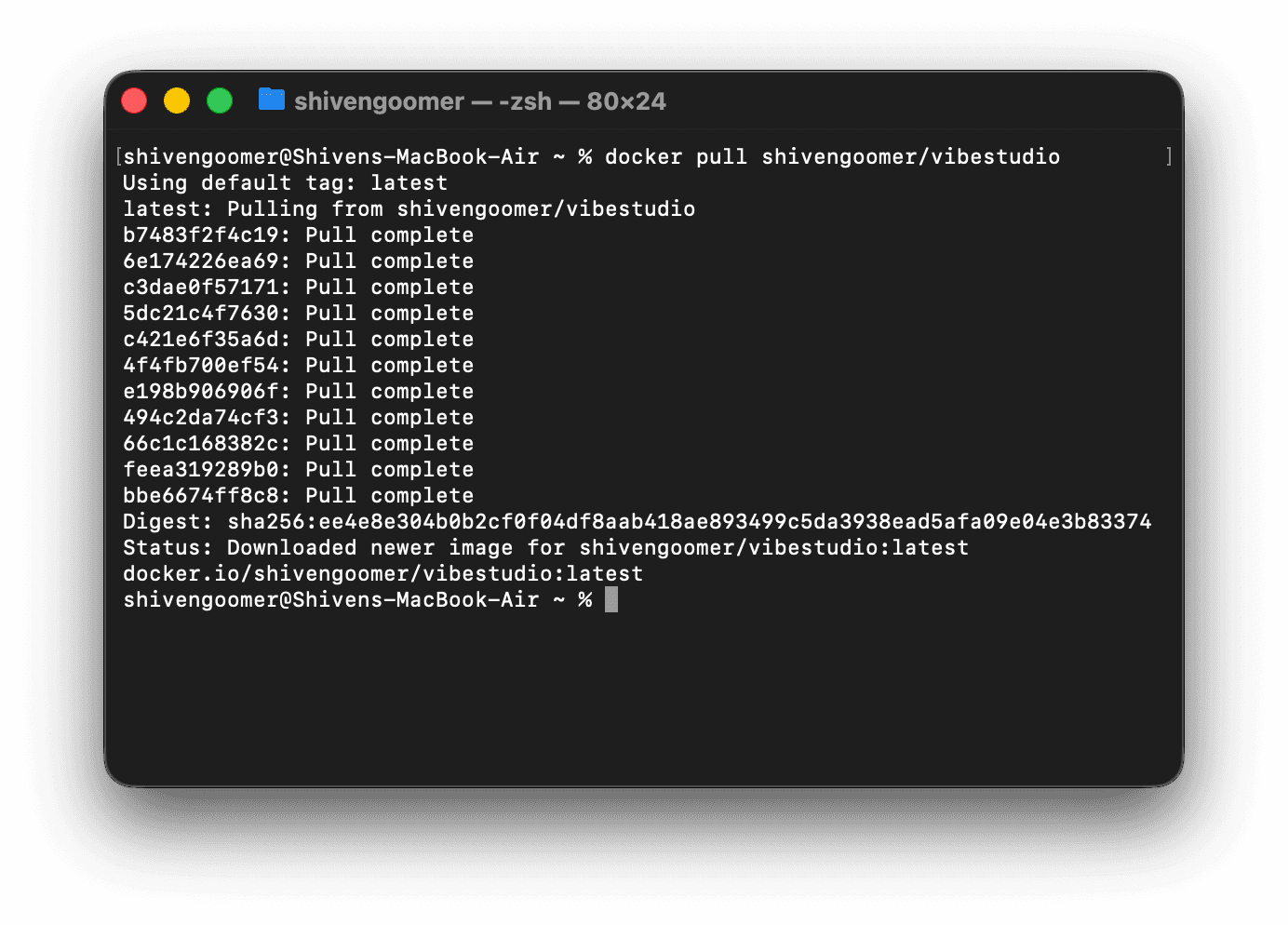 Pulling and Using Docker Image